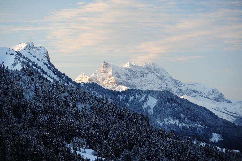 Hotel Le Relais Alpin Les Mosses Exterior foto